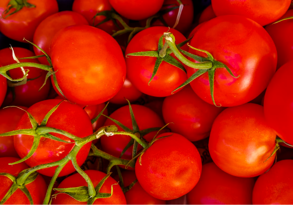 Fresh Red Tomatoes